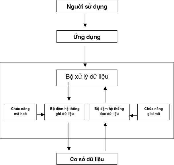 Mã hoá dữ liệu bên trong hệ quản trị cơ sở dữ liệu